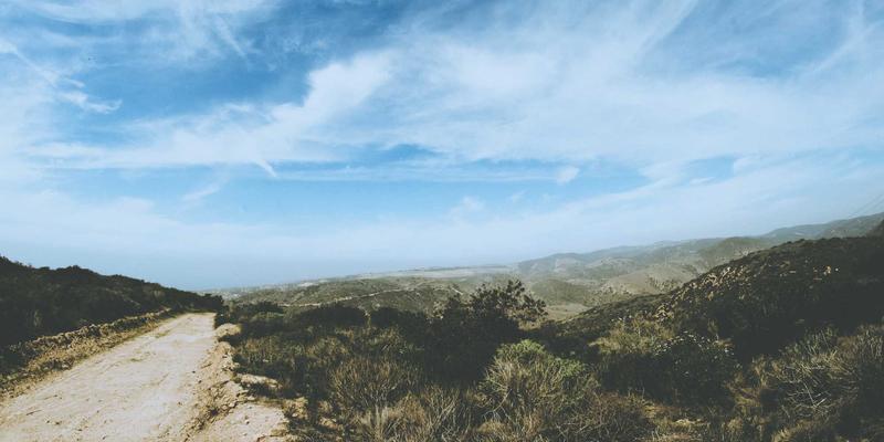 主机托管与网站建设必读：域名注册中的法律陷阱与风险规避指南