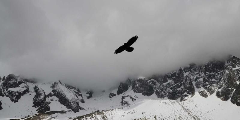 企业品牌域名保护策略：如何系统性地注册防御性域名与选择主机托管