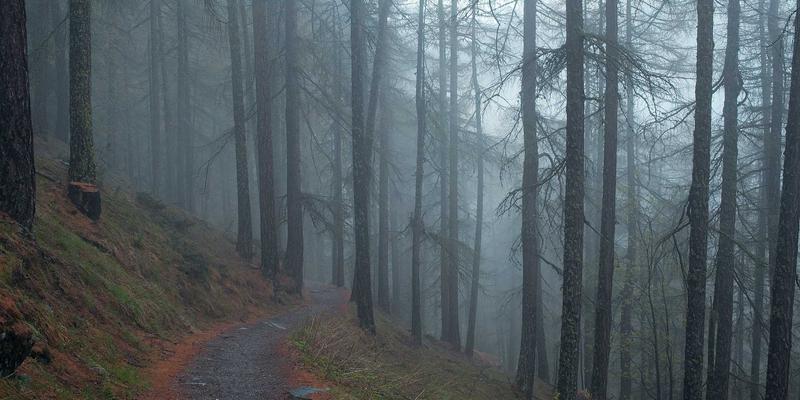 企业多品牌战略下的域名管理：统一注册与分散策略的优劣分析与实战指南