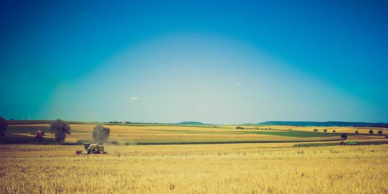 企业网站建设第一步：避开域名注册五大误区，选对云服务器基石
