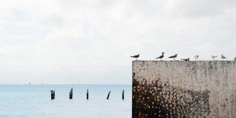 域名注册75:企业数字资产的基石,如何与虚拟主机、企业邮箱协同构建专业形象