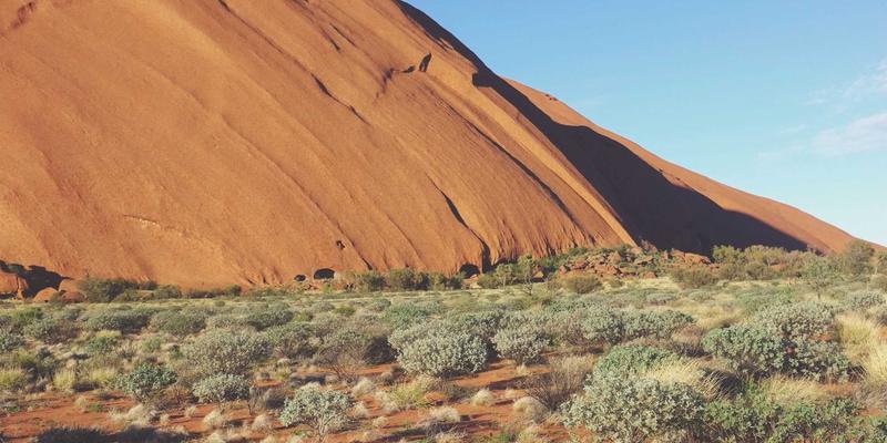 域名注册84：企业数字化基石与主机托管、139域名及企业邮箱的协同战略