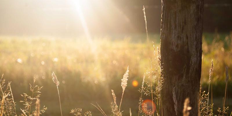 域名注册99元起:如何搭配139域名、云服务器与虚拟主机打造高性价比网站