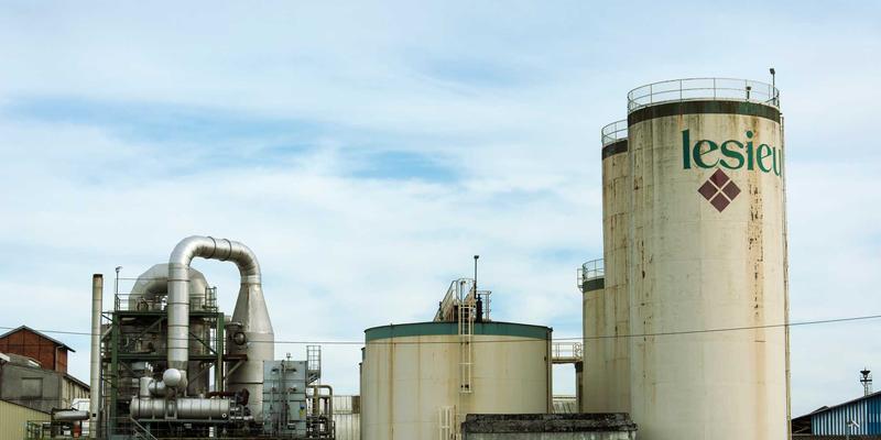 域名注册年限对SEO排名的影响：长期持有如何成为网站建设的信任信号