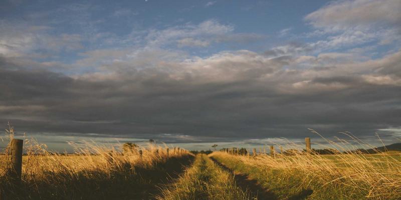 域名注册怎么用？从注册到网站上线的完整指南（含云服务器与虚拟主机选择）