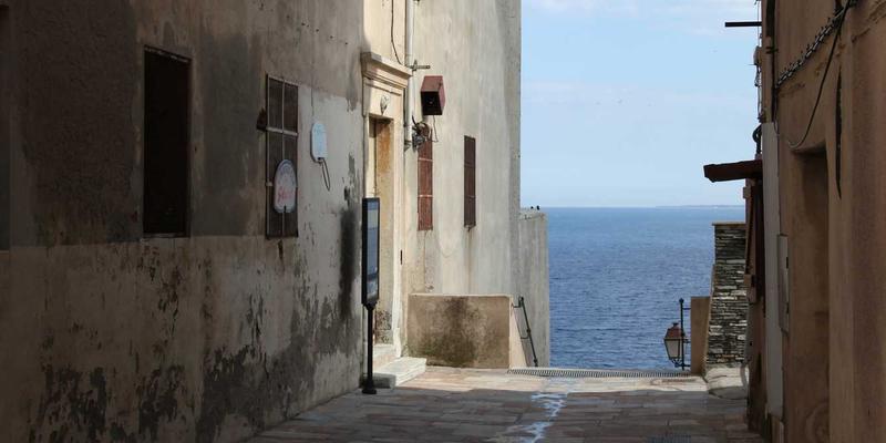 虚拟主机与网站建设必读：如何预防域名注册中的商标权冲突